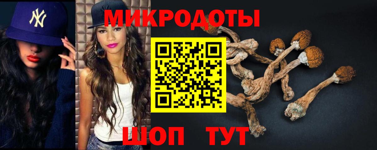 цена наркотик  Вход с VPN  Шуя  Галлюциногенные грибы Psilocybine cubensis 